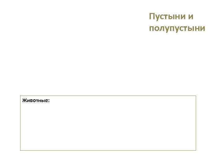   Пустыни и   полупустыни Животные: 