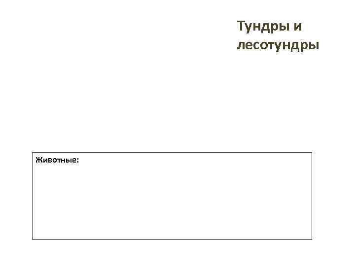   Тундры и   лесотундры Животные: 