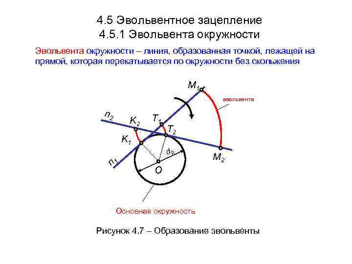    4. 5 Эвольвентное зацепление   4. 5. 1 Эвольвента окружности