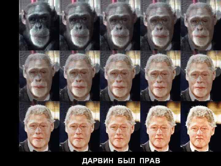 ДАРВИН БЫЛ ПРАВ ДАРВИН БЫЛ ПРАВ