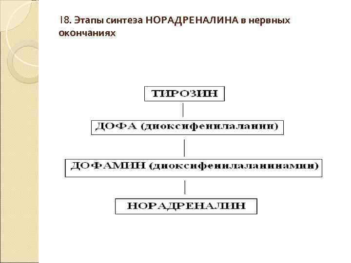 18. Этапы синтеза НОРАДРЕНАЛИНА в нервных окончаниях 18. Этапы синтеза НОРАДРЕНАЛИНА в нервных окончаниях