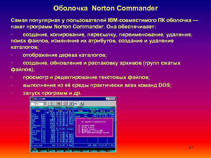     Оболочка Norton Commander Самая популярная у пользователей IBM совместимого ПК