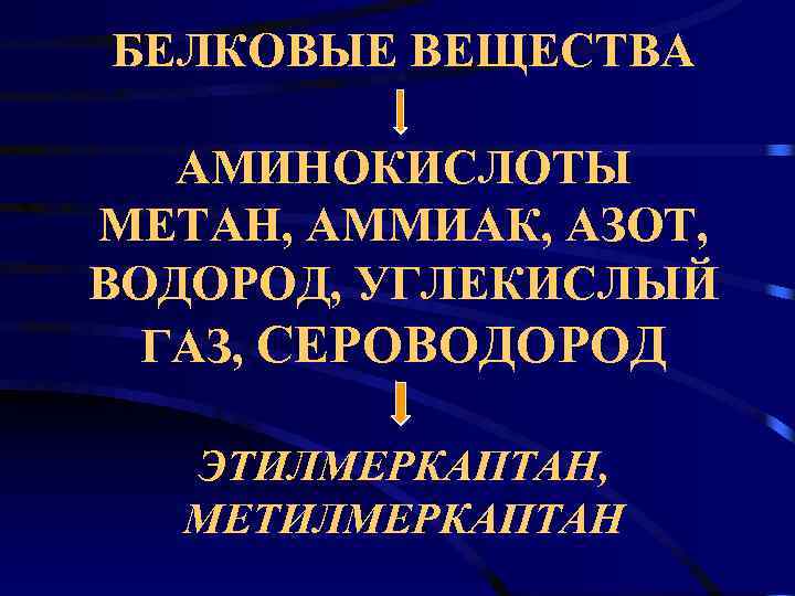 БЕЛКОВЫЕ ВЕЩЕСТВА АМИНОКИСЛОТЫ МЕТАН, АММИАК, АЗОТ, ВОДОРОД, УГЛЕКИСЛЫЙ  ГАЗ, СЕРОВОДОРОД ЭТИЛМЕРКАПТАН, МЕТИЛМЕРКАПТАН 