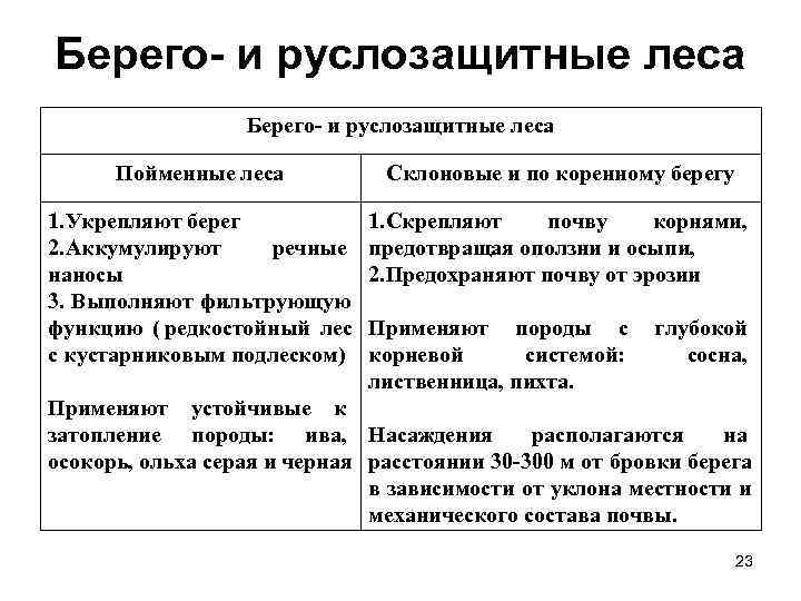Берего- и руслозащитные леса    Берего- и руслозащитные леса  Пойменные леса