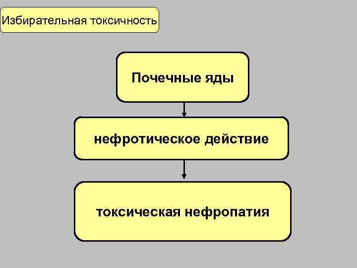 Избирательная токсичность    Почечные яды   нефротическое действие   