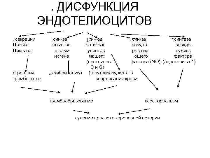    . ДИСФУНКЦИЯ   ЭНДОТЕЛИОЦИТОВ ↓секреции ↓син-за   ↑синтеза Проста