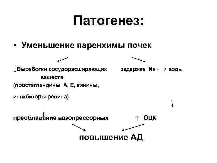      Патогенез:  • Уменьшение паренхимы почек ↓Выработки сосудорасширяющих 