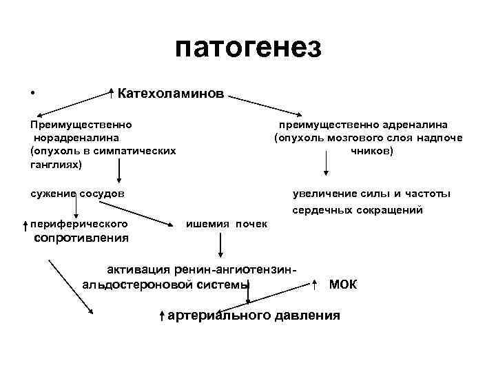     патогенез •   Катехоламинов Преимущественно    