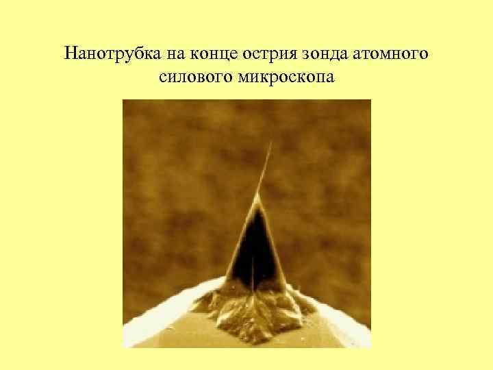 Нанотрубка на конце острия зонда атомного  силового микроскопа 