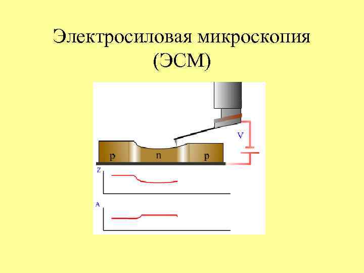 Электросиловая микроскопия  (ЭСМ) 