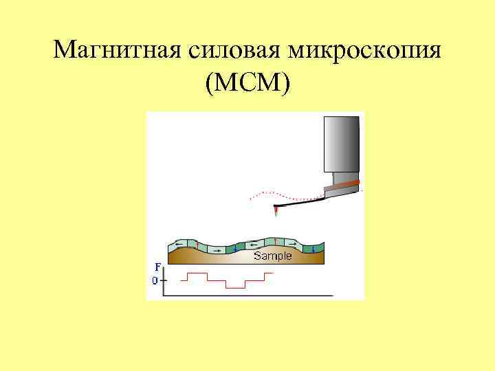 Магнитная силовая микроскопия  (МСМ) 