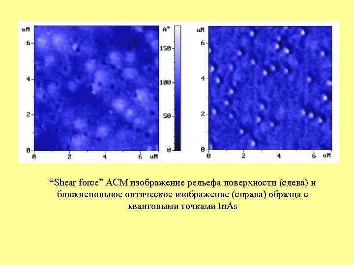 “Shear force” АСМ изображение рельефа поверхности (слева) и  ближнепольное оптическое изображение (справа) образца