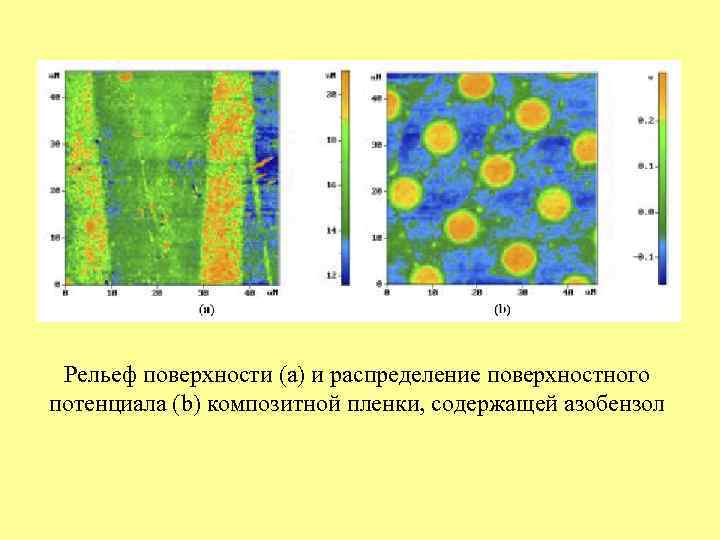  Рельеф поверхности (a) и распределение поверхностного потенциала (b) композитной пленки, содержащей азобензол 