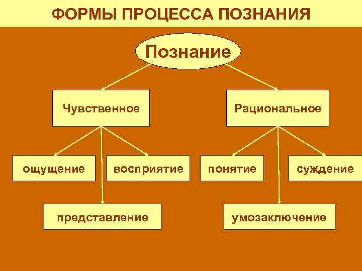 Формы рационального познания