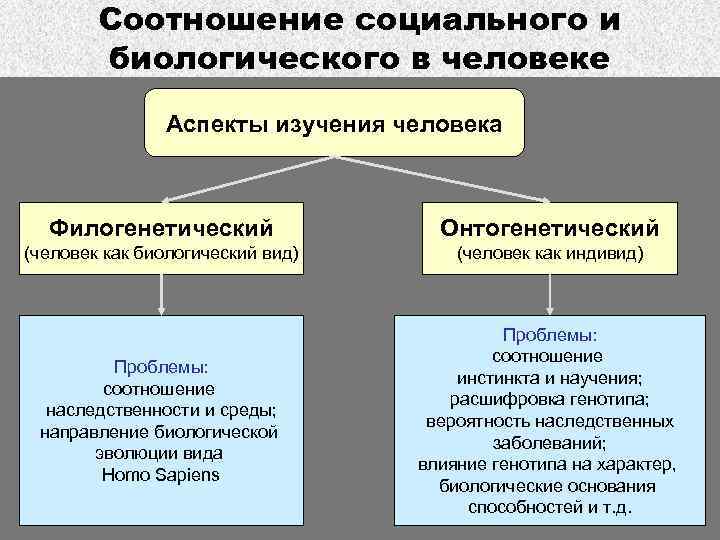 Соотношение социального и биологического в личности преступника