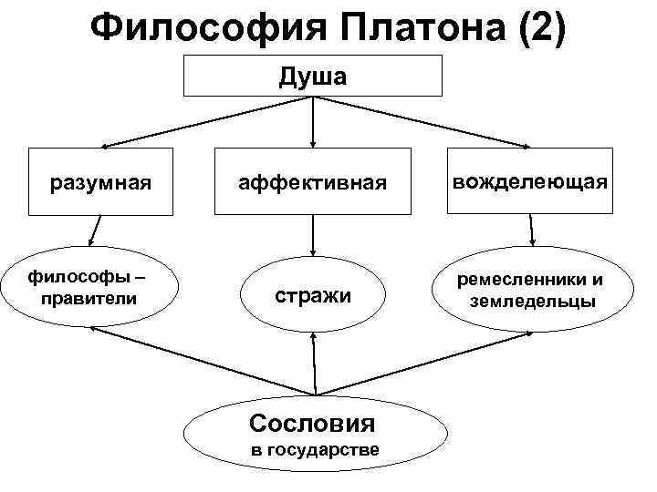  Философия Платона (2)   Душа разумная  аффективная вожделеющая  философы –