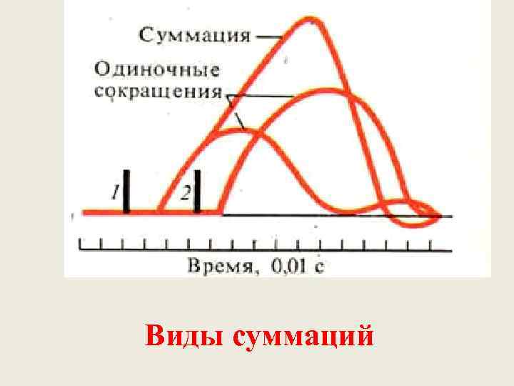 Виды суммаций 