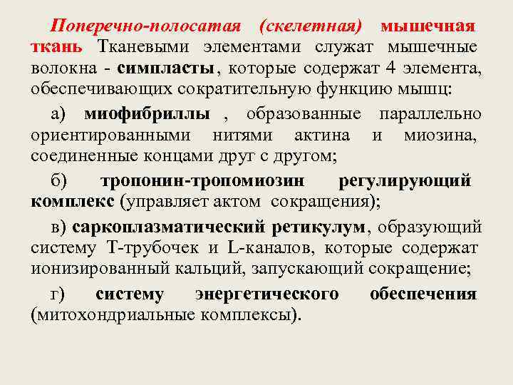  Поперечно-полосатая (скелетная) мышечная ткань Тканевыми элементами служат мышечные волокна - симпласты , 