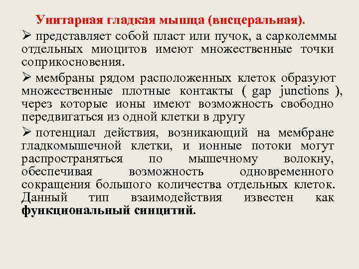  Унитарная гладкая мышца (висцеральная). Ø представляет собой пласт или пучок, а сарколеммы отдельных