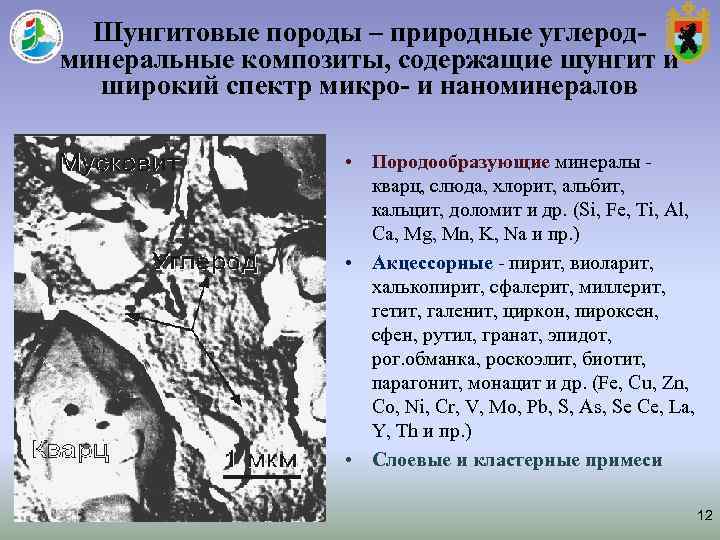 Шунгитовые породы – природные углерод- минеральные композиты, содержащие шунгит и широкий спектр Шунгитовые породы – природные углерод- минеральные композиты, содержащие шунгит и широкий спектр