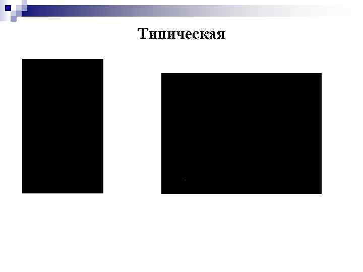 Типическая 