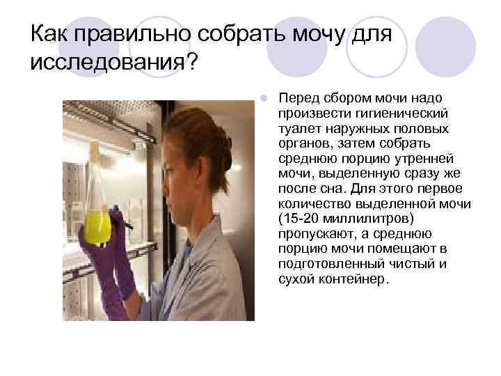 Как правильно собрать мочу для исследования?     l  Перед сбором