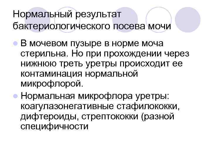 Нормальный результат бактериологического посева мочи l. В мочевом пузыре в норме моча  стерильна.