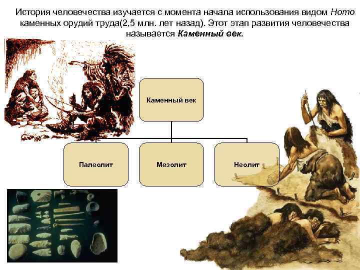 Кратчайшая история человечества