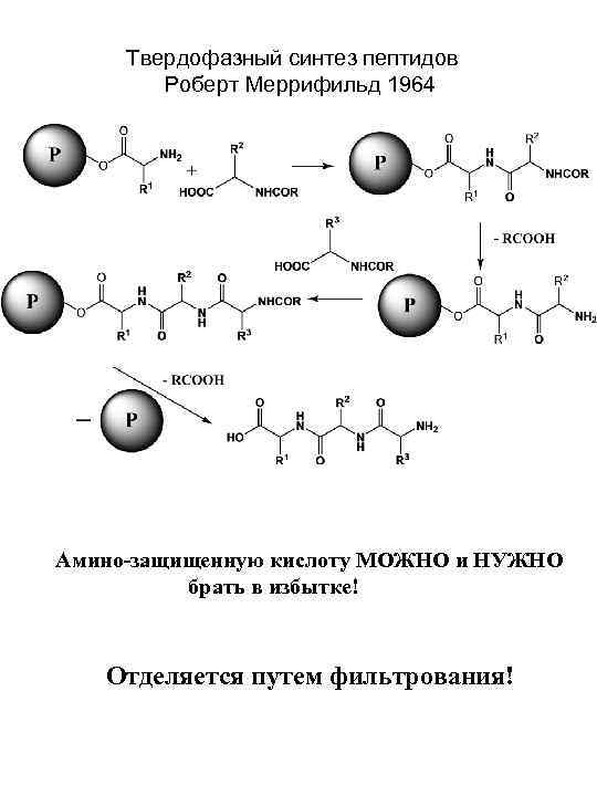 Можно синтез. Твердофазный метод синтеза пептидов. Твердофазный Синтез пептидов схема. Твердофазный пептидный Синтез по Меррифилду. Твердофазный Синтез пептидов и белков метод.