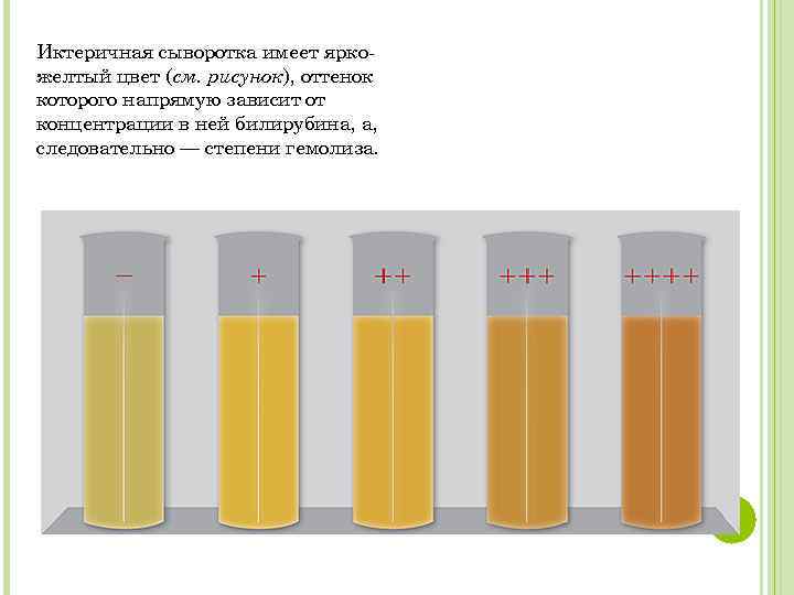 Определение степени липемии иктеричности и гемолиза образца