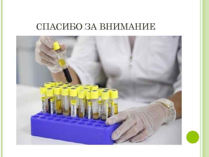 СПАСИБО ЗА ВНИМАНИЕ 