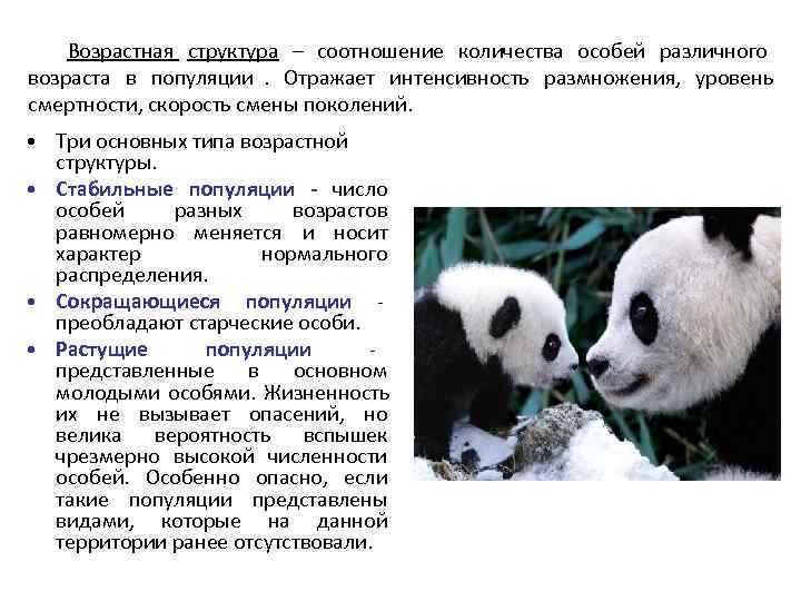   Возрастная структура – соотношение количества особей различного возраста в популяции. Отражает интенсивность