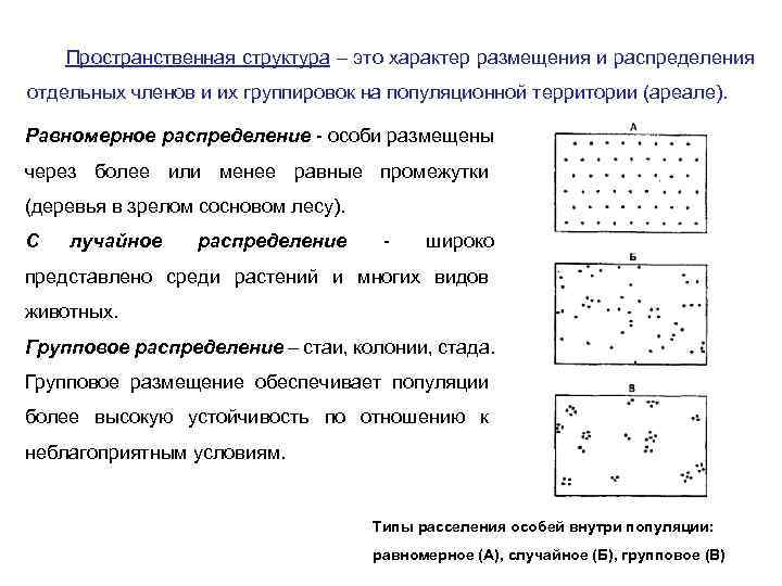   Пространственная структура – это характер размещения и распределения отдельных членов и их