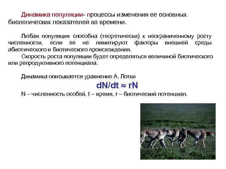   Динамика популяции процессы изменения ее основных Динамика популяции п биологических показателей во