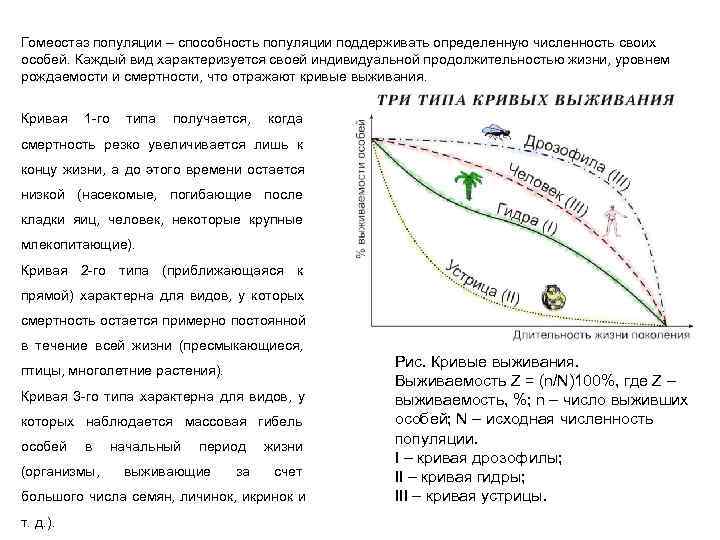 Гомеостаз популяции – способность популяции поддерживать определенную численность своих особей. Каждый вид характеризуется своей