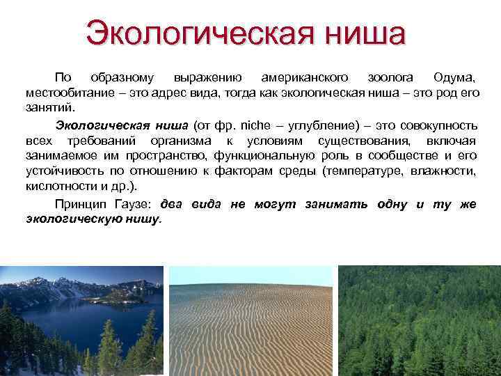    Экологическая ниша По образному выражению американского зоолога Одума,  местообитание –