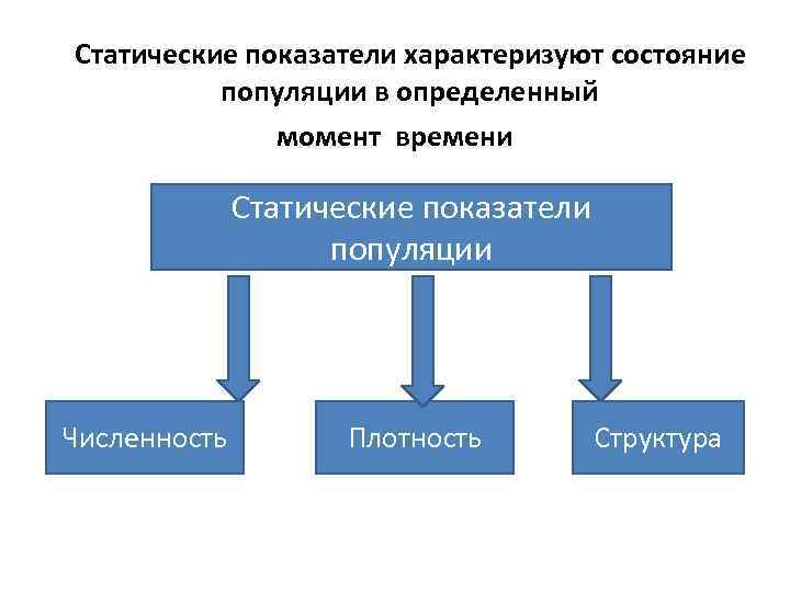 Статические показатели характеризуют состояние  популяции в определенный    момент времени 