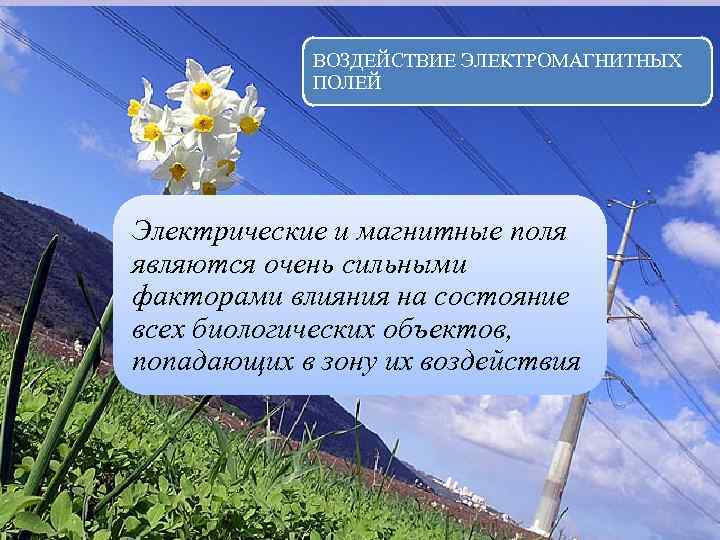   ВОЗДЕЙСТВИЕ ЭЛЕКТРОМАГНИТНЫХ   ПОЛЕЙ Электрические и магнитные поля являются очень сильными