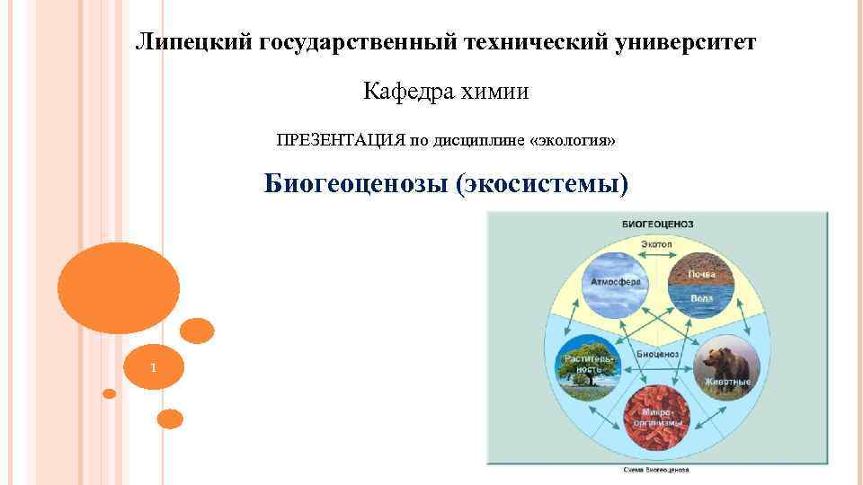 Липецкий государственный технический университет    Кафедра химии  ПРЕЗЕНТАЦИЯ по дисциплине «экология»