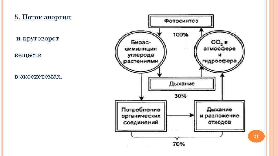 5. Поток энергии  и круговорот веществ  в экосистемах.    
