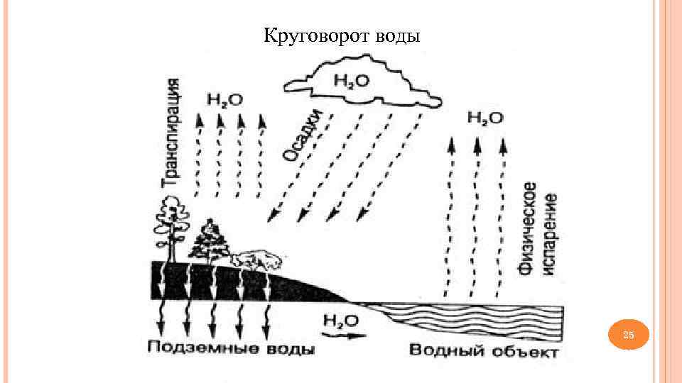 Круговорот воды в биосфере схема 11 класс