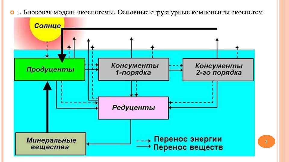 Какова общая схема круговорота веществ в экологической системе