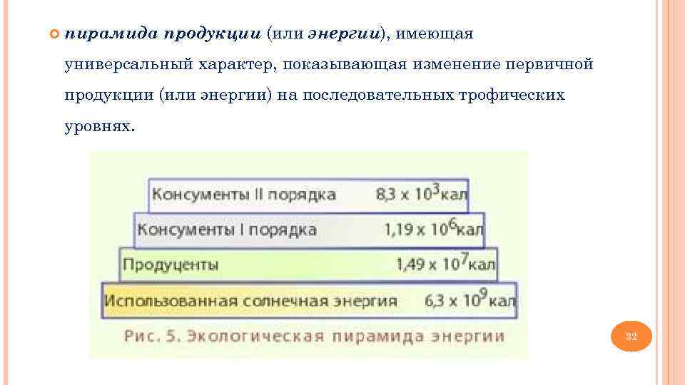   пирамида продукции (или энергии), имеющая универсальный характер, показывающая изменение первичной продукции (или