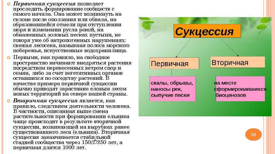   Первичная сукцессия позволяет проследить формирование сообществ с самого начала. Она может возникнуть