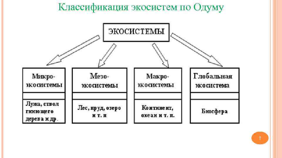 Классификация экосистем по Одуму    7 