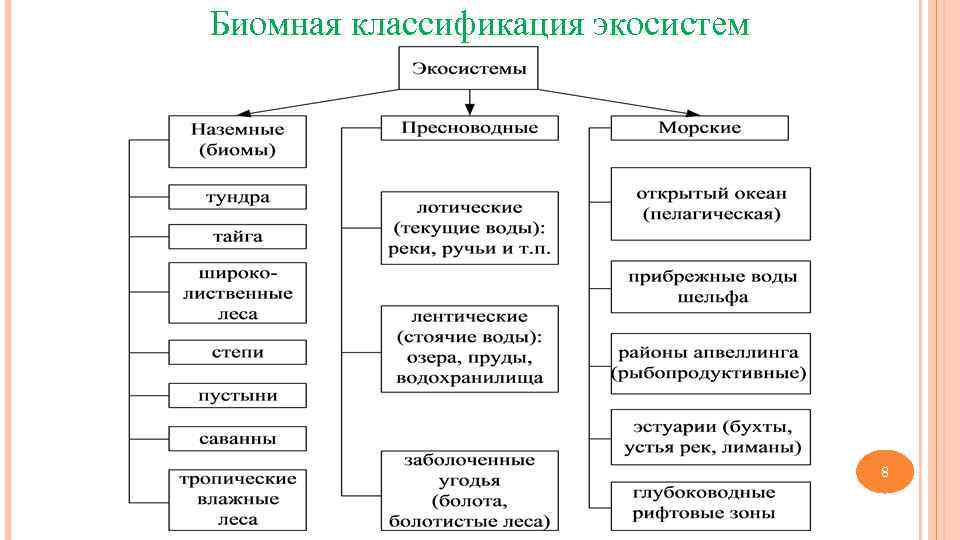Биомная классификация экосистем    8 