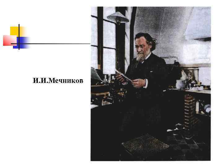 И. И. Мечников 