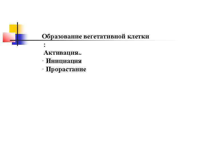 Образование вегетативной клетки :  Активация. . · Инициация · Прорастание 