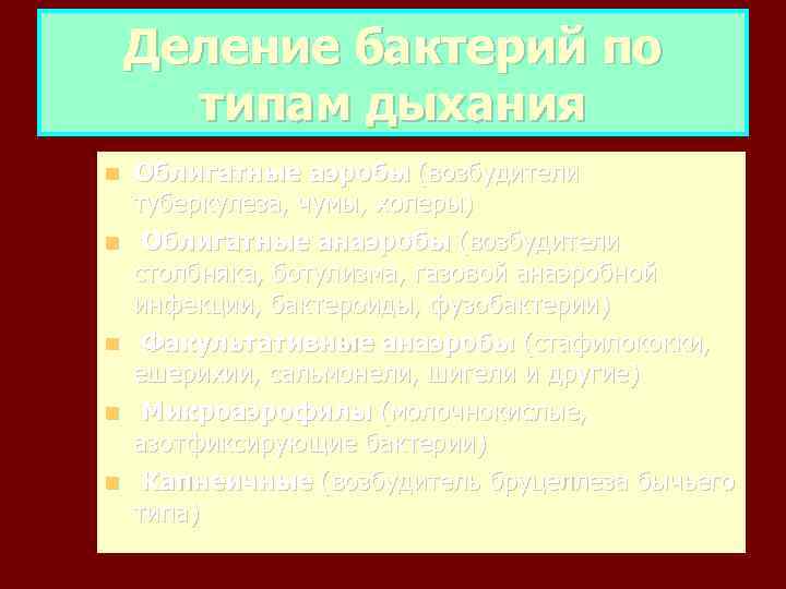   Деление бактерий по  типам дыхания Облигатные аэробы (возбудители туберкулеза, чумы, холеры)