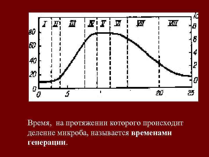 Время, на протяжении которого происходит деление микроба, называется временами генерации. 